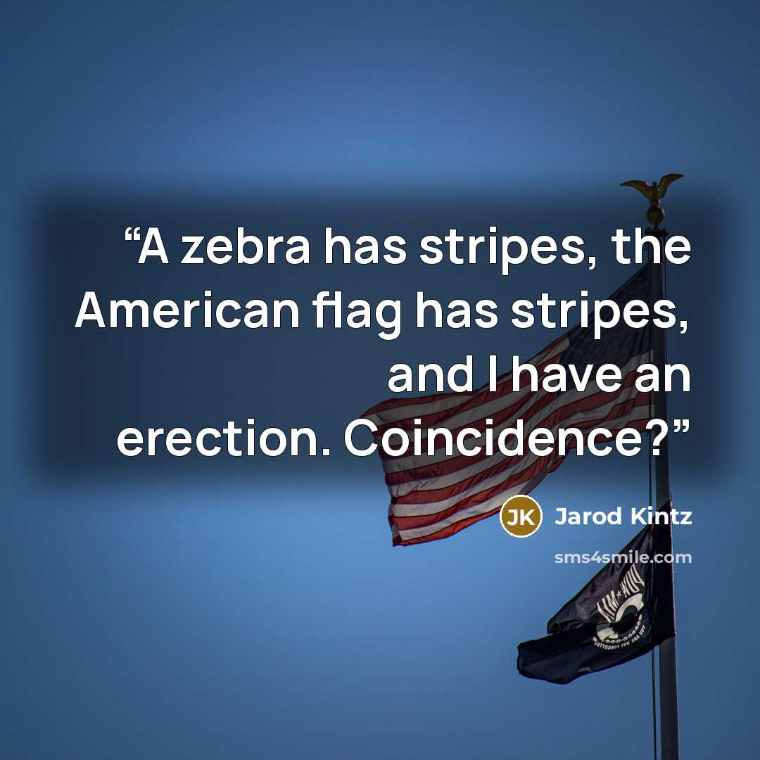 “A zebra has stripes, the American flag has stripes, and I have an erection. Coincidence?” quote by Jarod Kintz