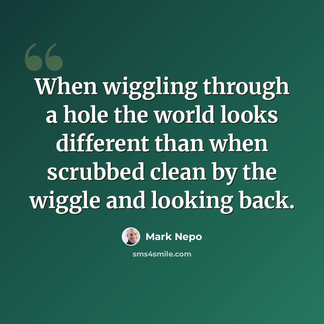 “When wiggling through a hole the world looks different than when scrubbed clean by the wiggle and looking back.” quote by Mark Nepo