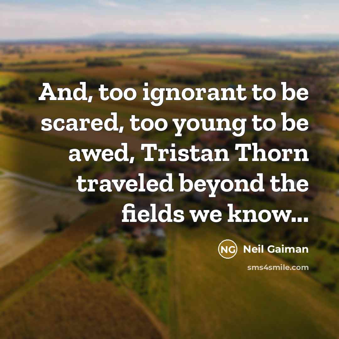 “And, too ignorant to be scared, too young to be awed, Tristan Thorn traveled beyond the fields we know...” quote by Neil Gaiman