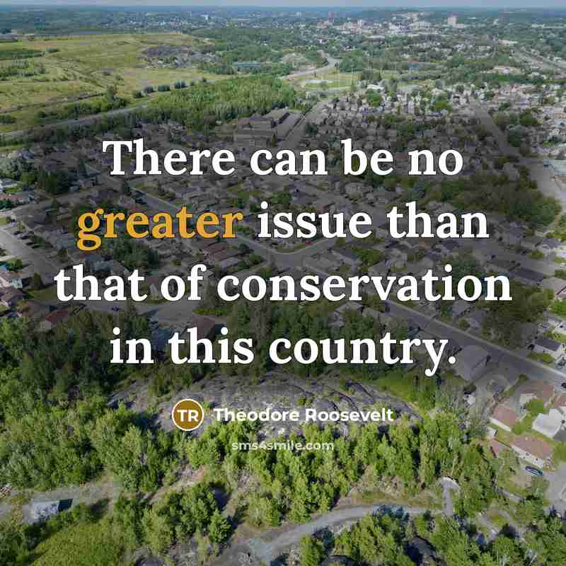 “There can be no greater issue than that of conservation in this country.” quote by Theodore Roosevelt