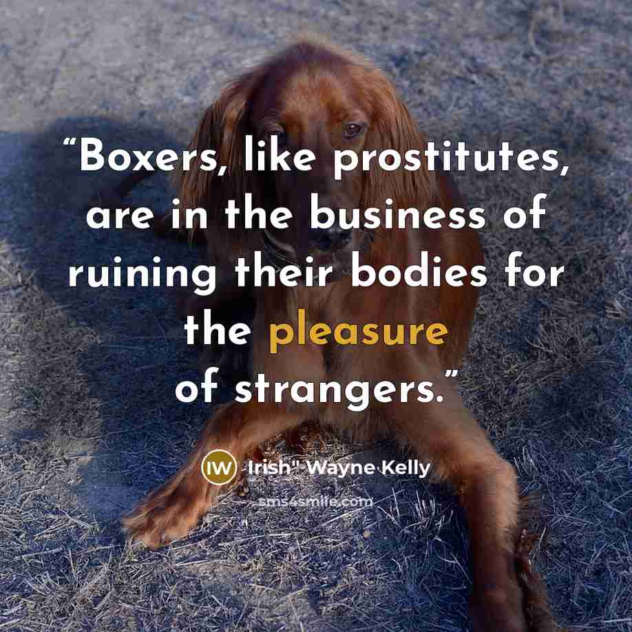“Boxers, like prostitutes, are in the business of ruining their bodies for the pleasure of strangers.” quote by Irish" Wayne Kelly