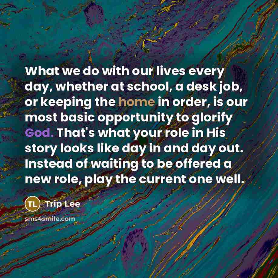 “What we do with our lives every day, whether at school, a desk job, or keeping the home in order, is our most basic opportunity to glorify God. That's what your role in His story looks like day in and day out. Instead of waiting to be offered a new role, play the current one well.” quote by Trip Lee