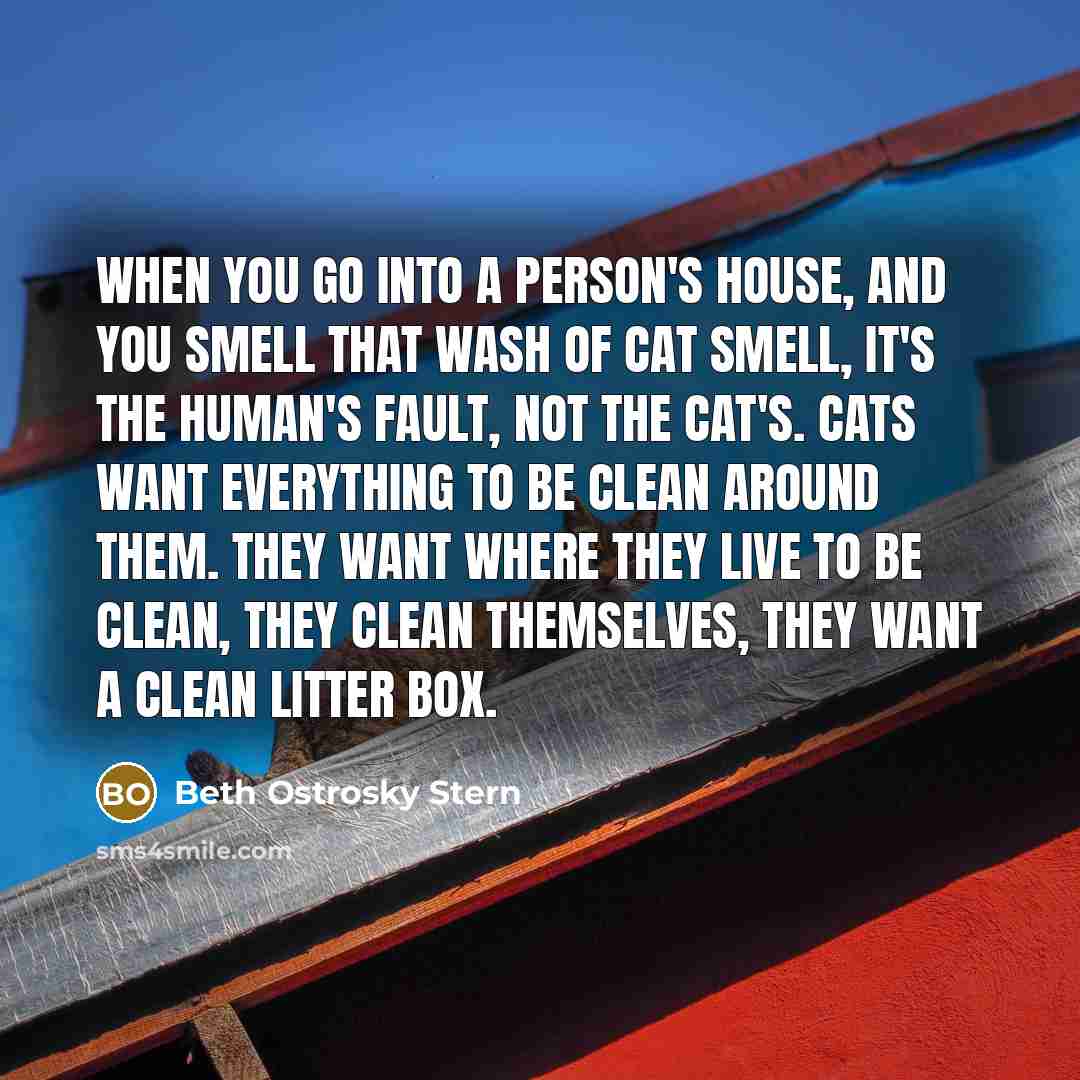 “When you go into a person's house, and you smell that wash of cat smell, it's the human's fault, not the cat's. Cats want everything to be clean around them. They want where they live to be clean, they clean themselves, they want a clean litter box.” quote by Beth Ostrosky Stern