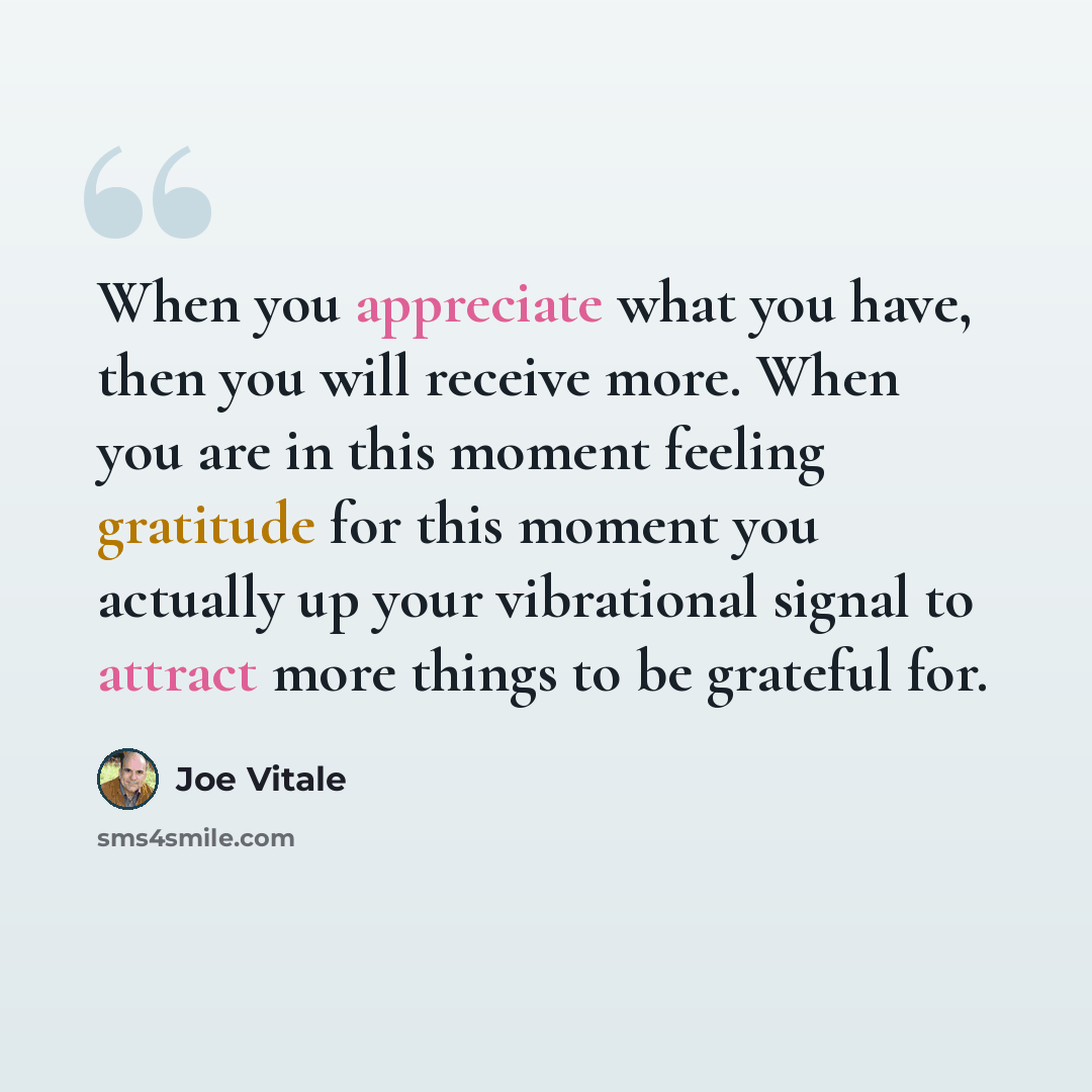 “When you appreciate what you have, then you will receive more. When you are in this moment feeling gratitude for this moment you actually up your vibrational signal to attract more things to be grateful for.” quote by Joe Vitale