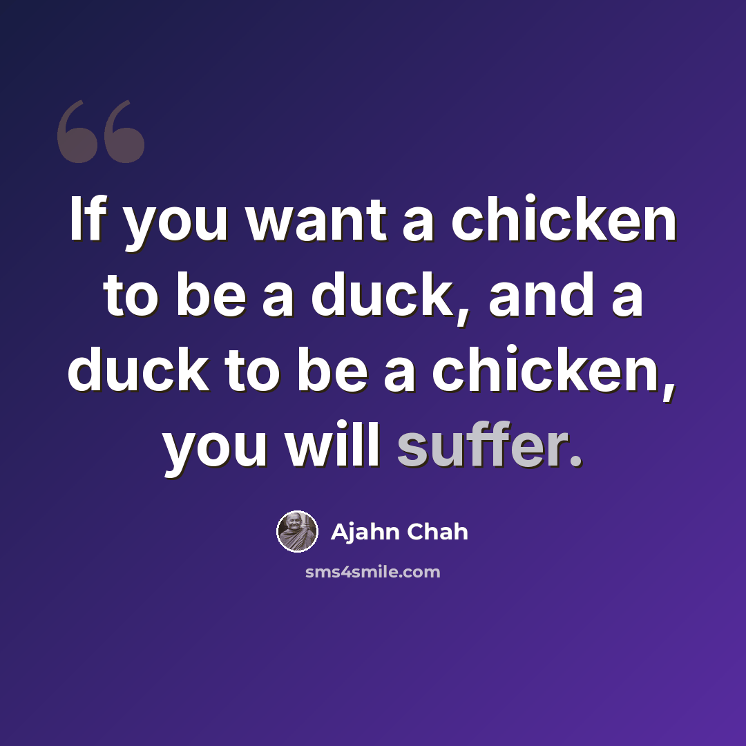 “If you want a chicken to be a duck, and a duck to be a chicken, you will suffer.” quote by Ajahn Chah