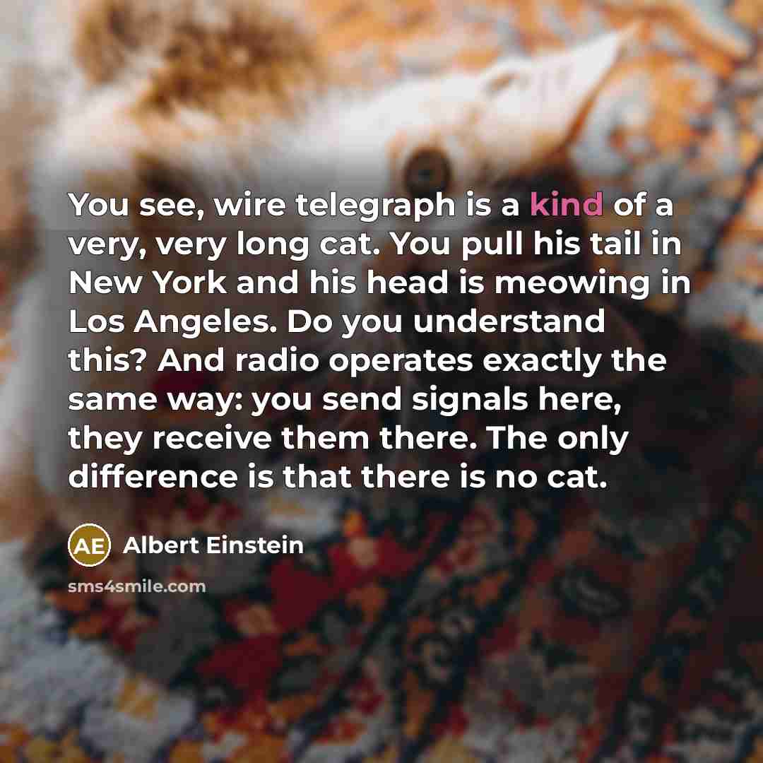 “You see, wire telegraph is a kind of a very, very long cat. You pull his tail in New York and his head is meowing in Los Angeles. Do you understand this? And radio operates exactly the same way: you send signals here, they receive them there. The only difference is that there is no cat.” quote by Albert Einstein