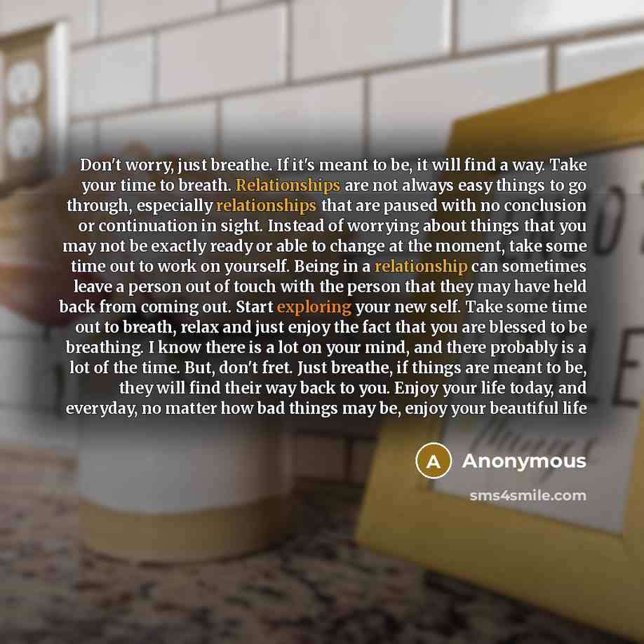 “Don't worry, just breathe. If it's meant to be, it will find a way. Take your time to breath. Relationships are not always easy things to go through, especially relationships that are paused with no conclusion or continuation in sight. Instead of worrying about things that you may not be exactly…” quote by Anonymous