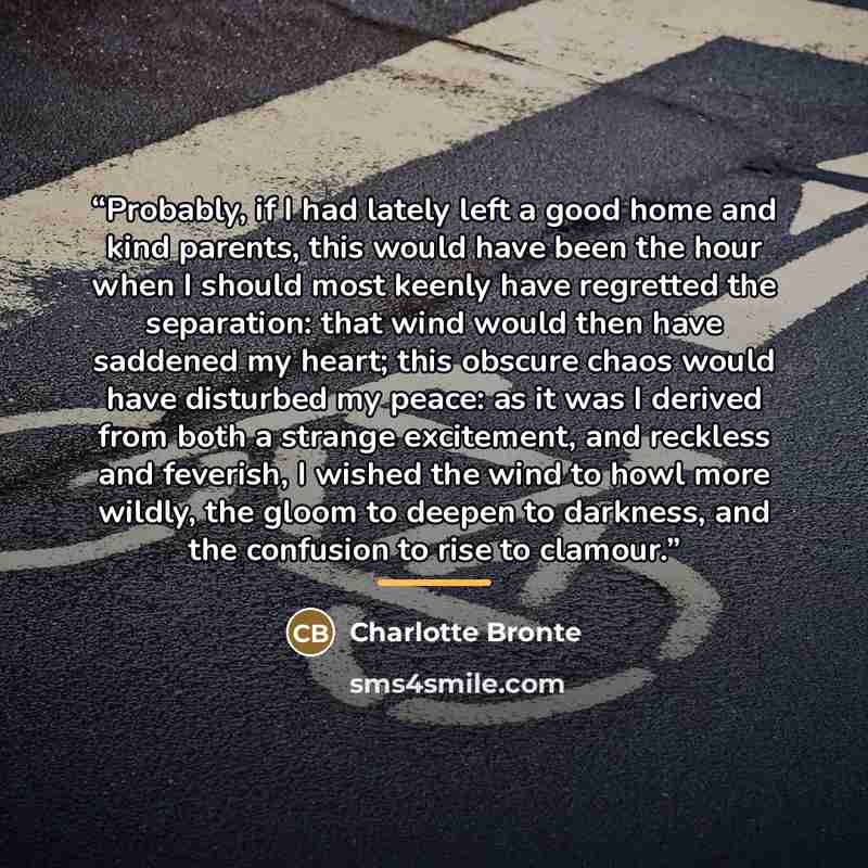 “Probably, if I had lately left a good home and kind parents, this would have been the hour when I should most keenly have regretted the separation: that wind would then have saddened my heart; this obscure chaos would have disturbed my peace: as it was I derived from both a strange excitement, and…” quote by Charlotte Brontë