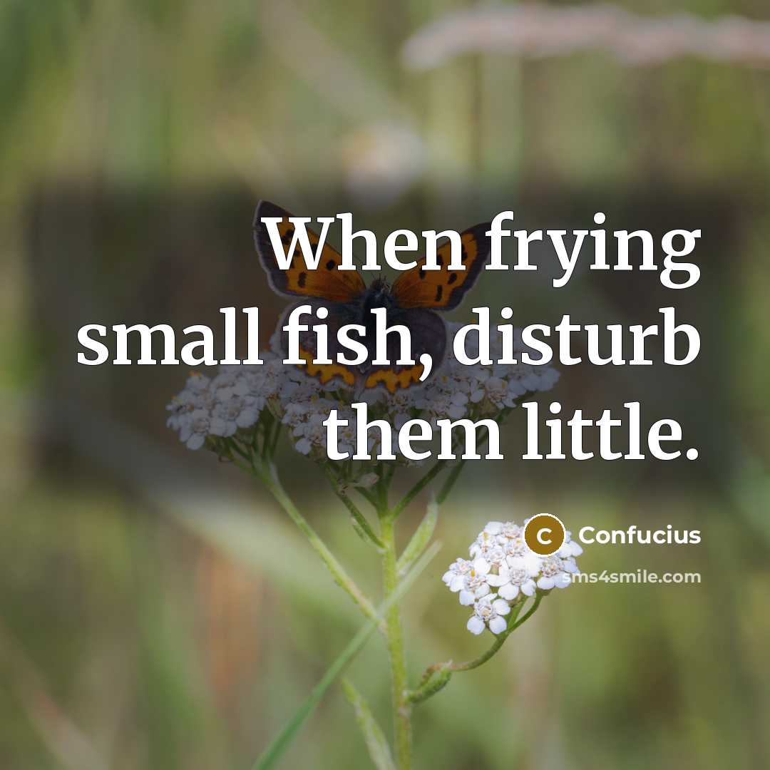 “When frying small fish, disturb them little.” quote by Confucius