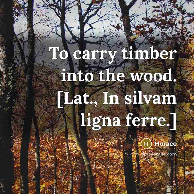 “To carry timber into the wood. [Lat., In silvam ligna ferre.]” quote by Horace