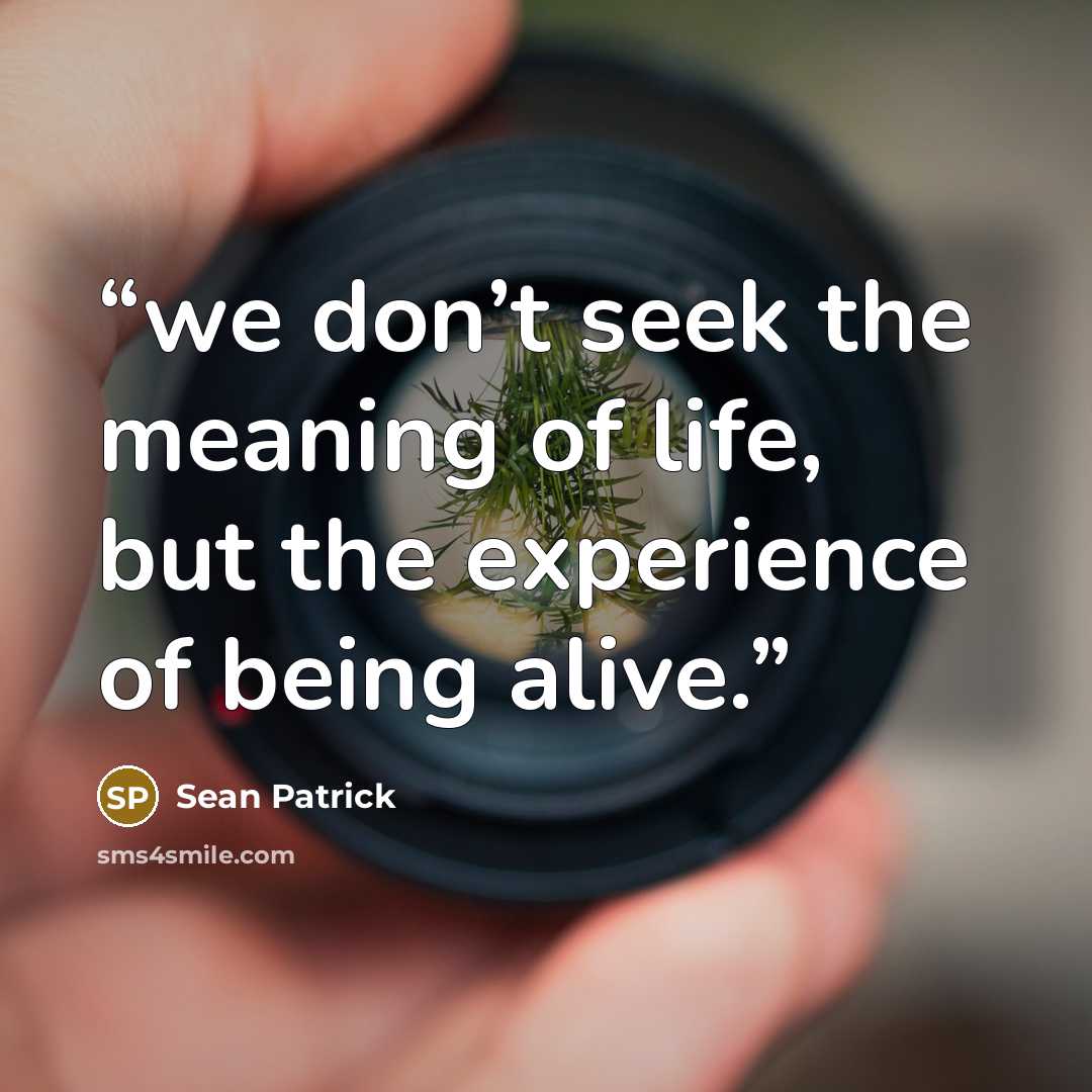 “we don’t seek the meaning of life, but the experience of being alive.” quote by Sean Patrick