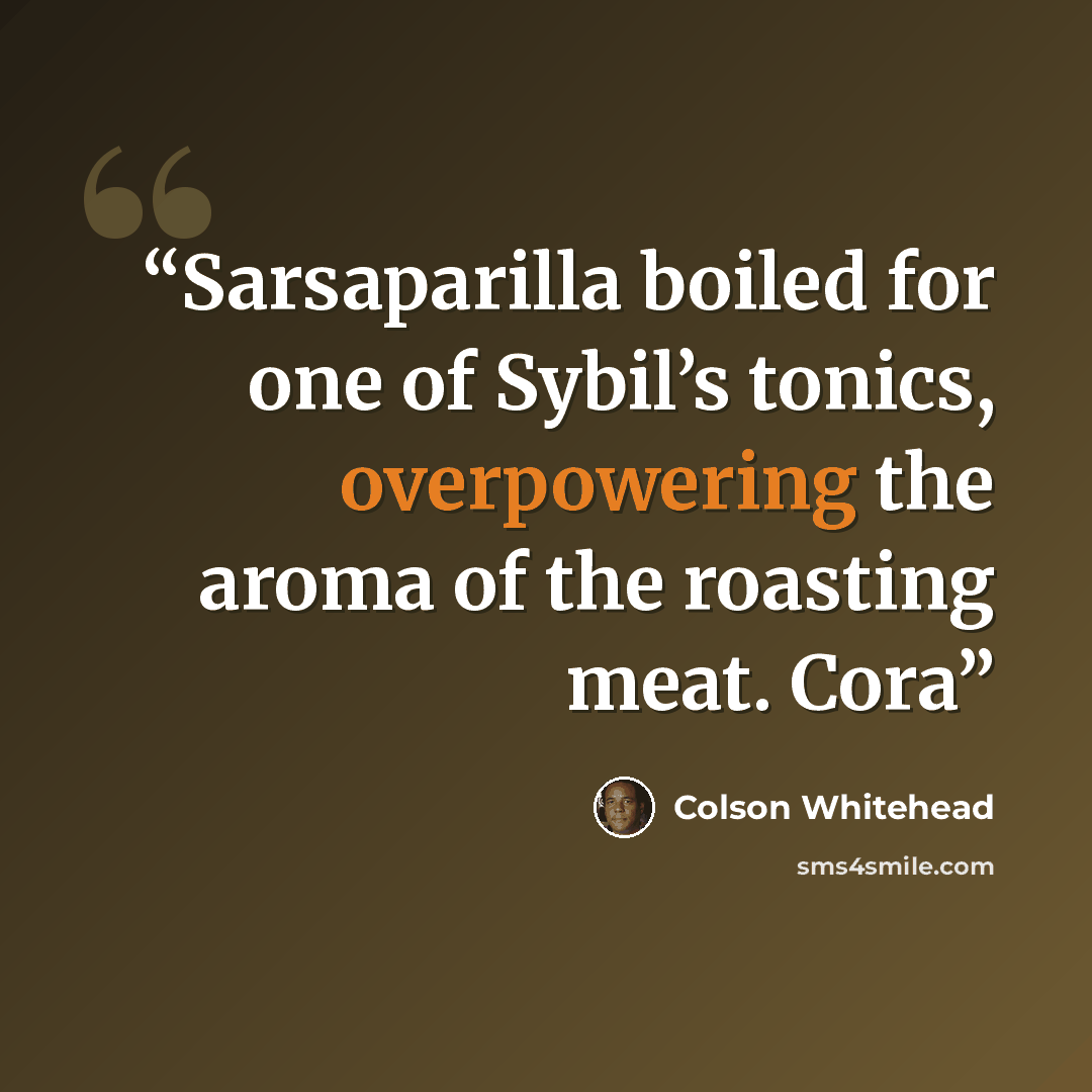 “Sarsaparilla boiled for one of Sybil’s tonics, overpowering the aroma of the roasting meat. Cora” quote by Colson Whitehead