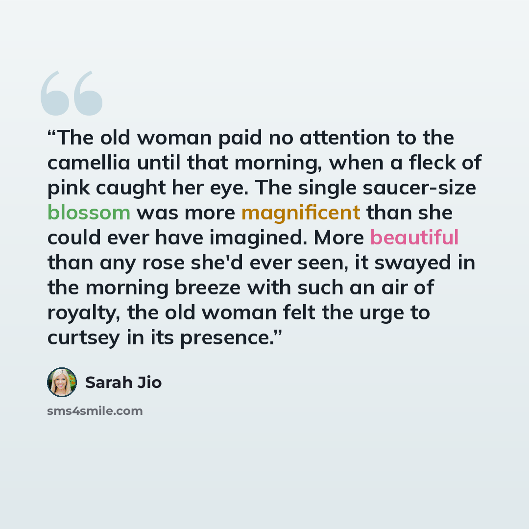 “The old woman paid no attention to the camellia until that morning, when a fleck of pink caught her eye. The single saucer-size blossom was more magnificent than she could ever have imagined. More beautiful than any rose she'd ever seen, it swayed in the morning breeze with such an air of royalty…” quote by Sarah Jio