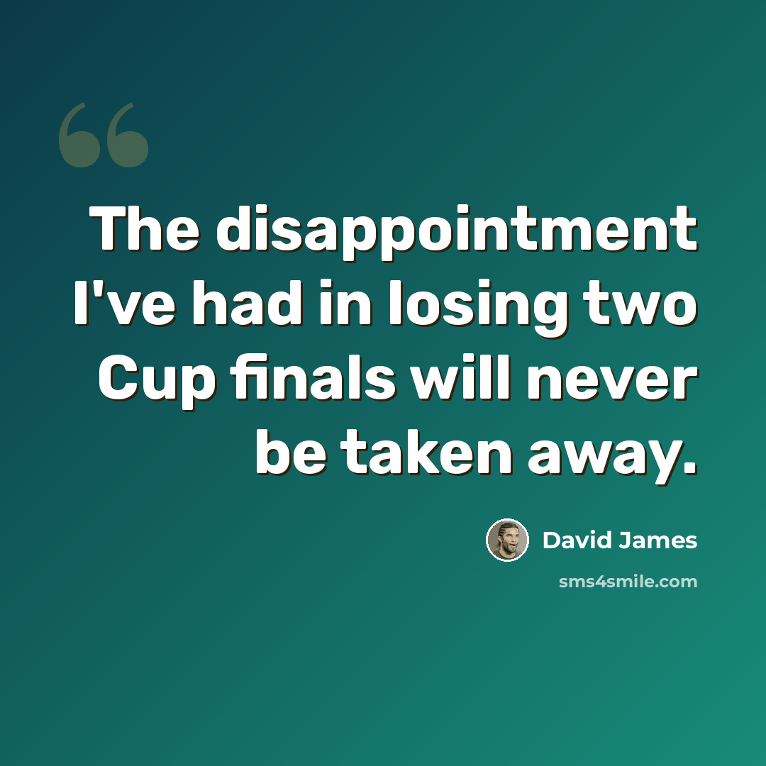 “The disappointment I've had in losing two Cup finals will never be taken away.” quote by David James