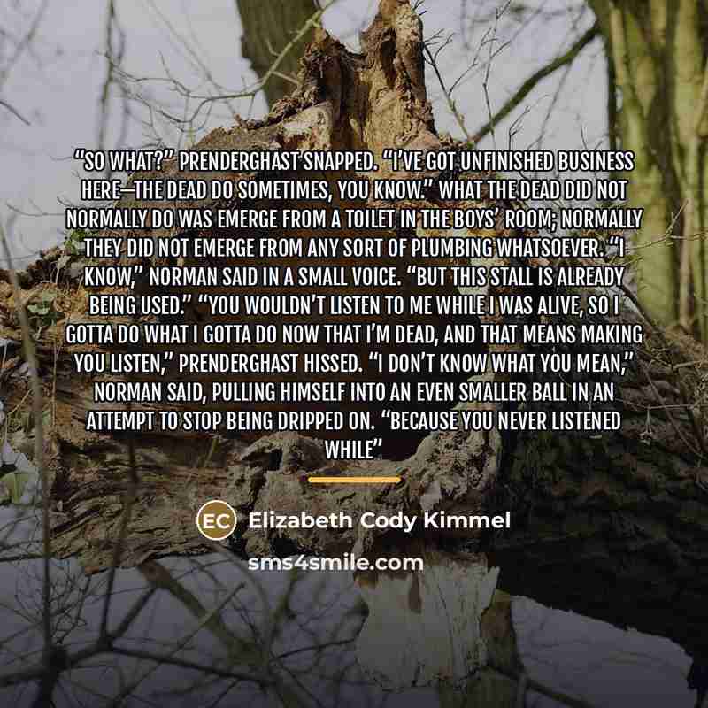 “So what?” Prenderghast snapped. “I’ve got unfinished business here—the dead do sometimes, you know.” What the dead did not normally do was emerge from a toilet in the boys’ room; normally they did not emerge from any sort of plumbing whatsoever. “I know,” Norman said in a small voice. “But this…” quote by Elizabeth Cody Kimmel