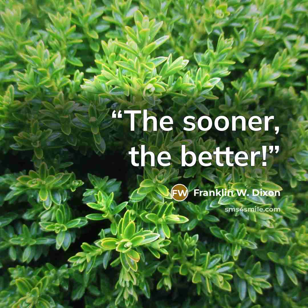 “The sooner, the better!” quote by Franklin W. Dixon
