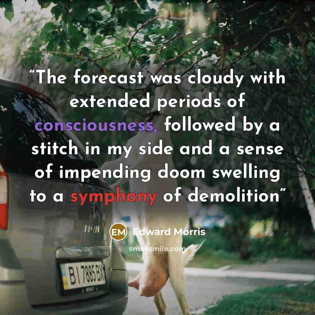 “The forecast was cloudy with extended periods of consciousness, followed by a stitch in my side and a sense of impending doom swelling to a symphony of demolition” quote by Edward Morris