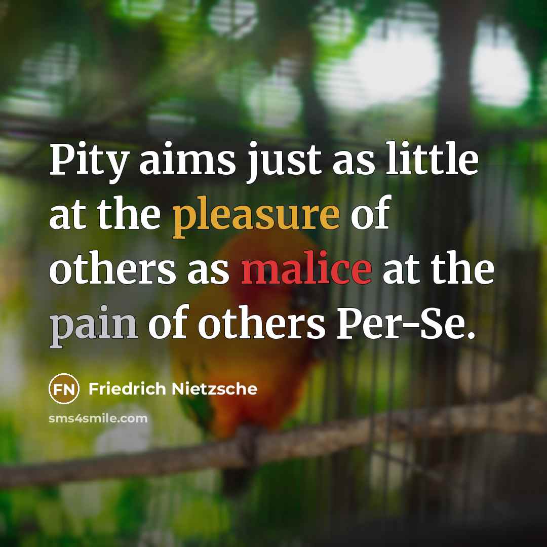 “Pity aims just as little at the pleasure of others as malice at the pain of others Per-Se.” quote by Friedrich Nietzsche