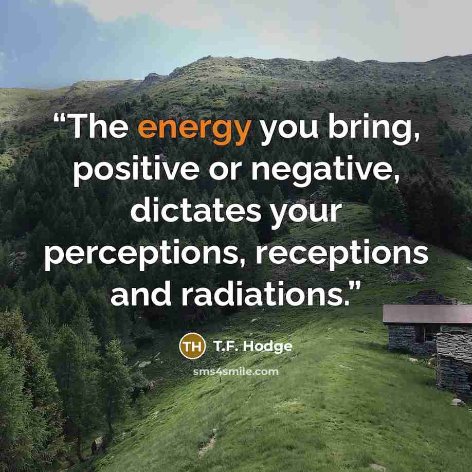 “The energy you bring, positive or negative, dictates your perceptions, receptions and radiations.” quote by T.F. Hodge
