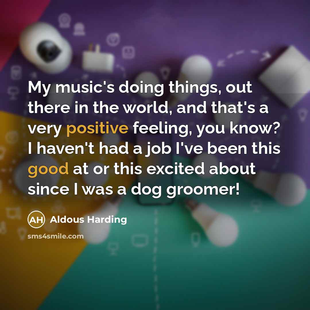 “My music's doing things, out there in the world, and that's a very positive feeling, you know? I haven't had a job I've been this good at or this excited about since I was a dog groomer!” quote by Aldous Harding