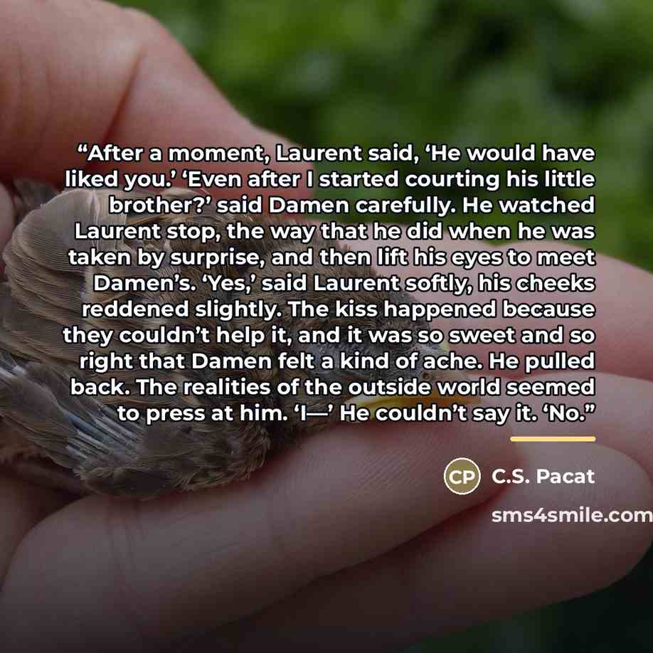 “After a moment, Laurent said, ‘He would have liked you.’ ‘Even after I started courting his little brother?’ said Damen carefully. He watched Laurent stop, the way that he did when he was taken by surprise, and then lift his eyes to meet Damen’s. ‘Yes,’ said Laurent softly, his cheeks reddened…” quote by C.S. Pacat