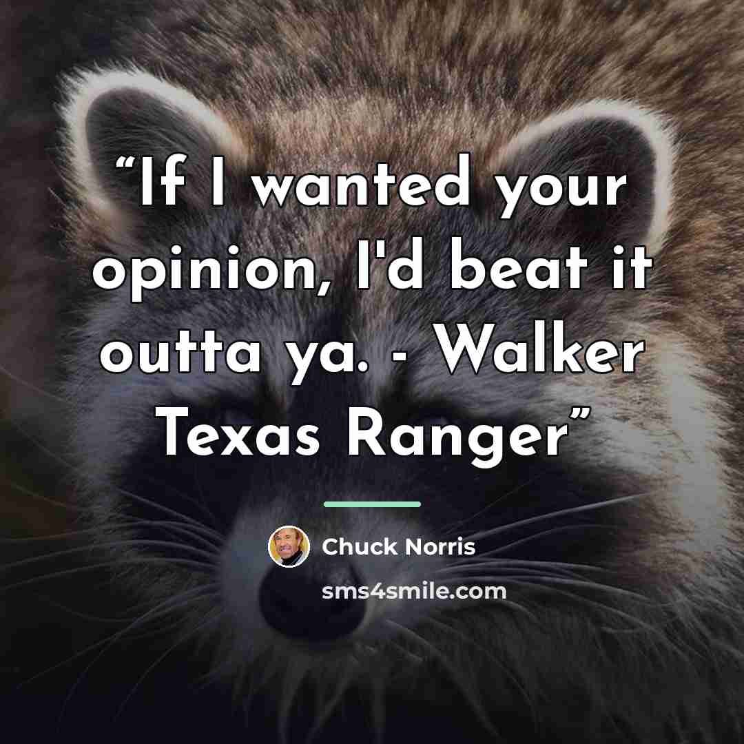 “If I wanted your opinion, I'd beat it outta ya. - Walker Texas Ranger” quote by Chuck Norris