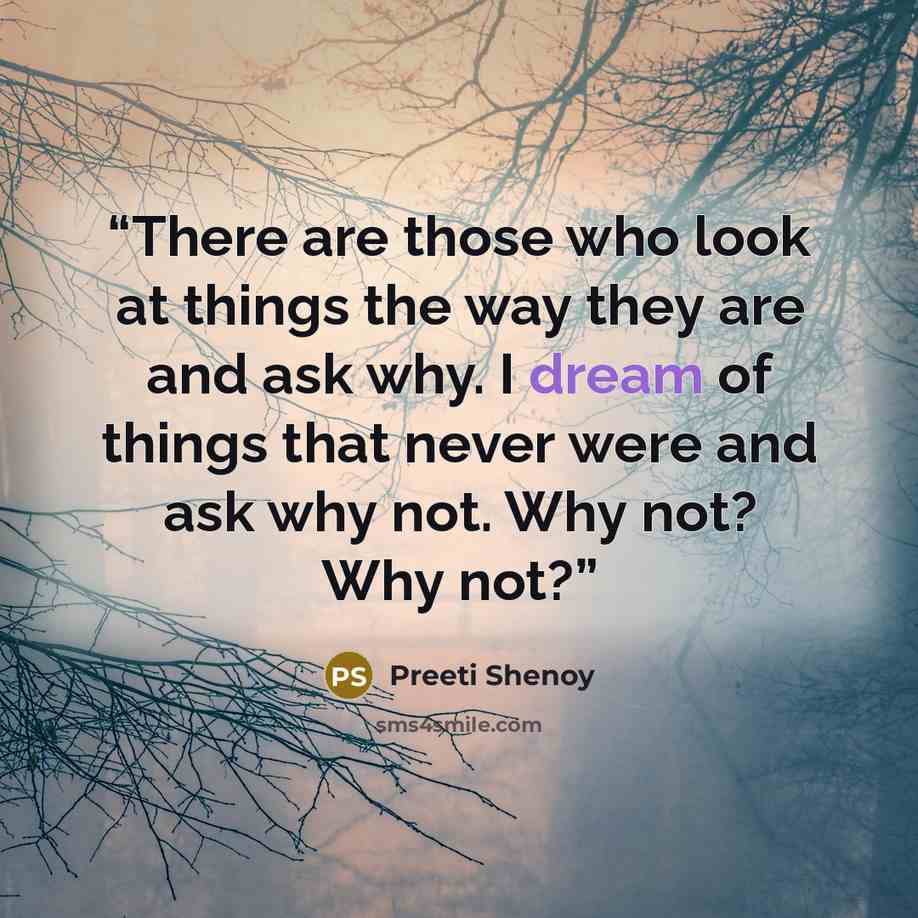 “There are those who look at things the way they are and ask why. I dream of things that never were and ask why not. Why not? Why not?” quote by Preeti Shenoy