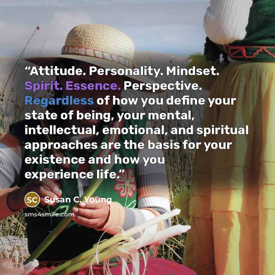“Attitude. Personality. Mindset. Spirit. Essence. Perspective. Regardless of how you define your state of being, your mental, intellectual, emotional, and spiritual approaches are the basis for your existence and how you experience life.” quote by Susan C. Young