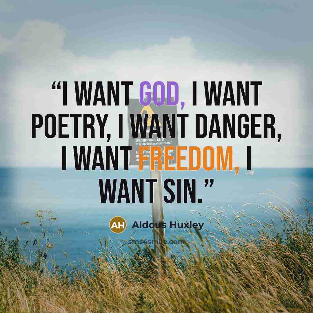 “I want God, I want poetry, I want danger, I want freedom, I want sin.” quote by Aldous Huxley