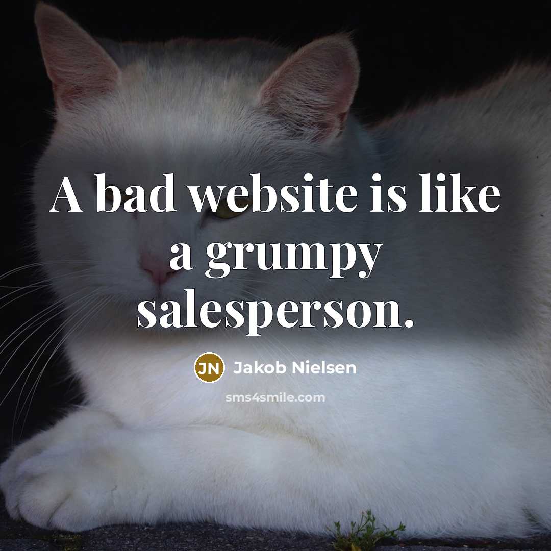 “A bad website is like a grumpy salesperson.” quote by Jakob Nielsen
