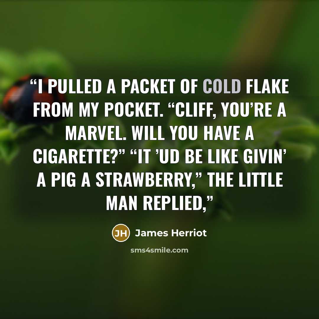 “I pulled a packet of Cold Flake from my pocket. “Cliff, you’re a marvel. Will you have a cigarette?” “It ’ud be like givin’ a pig a strawberry,” the little man replied,” quote by James Herriot