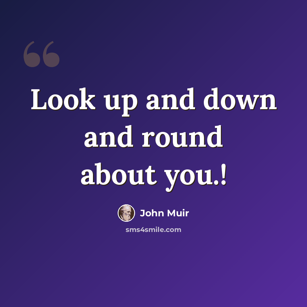 “Look up and down and round about you.!” quote by John Muir