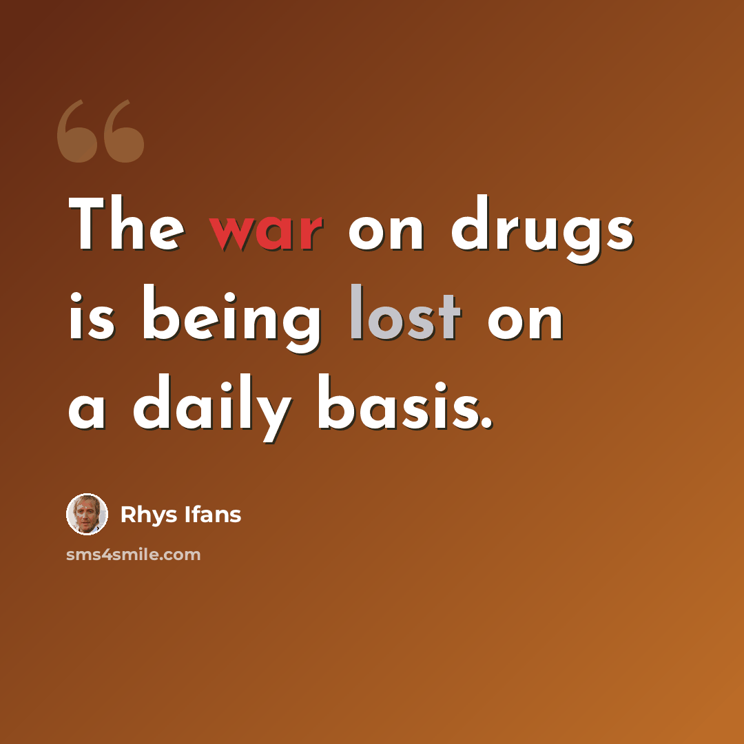 “The war on drugs is being lost on a daily basis.” quote by Rhys Ifans