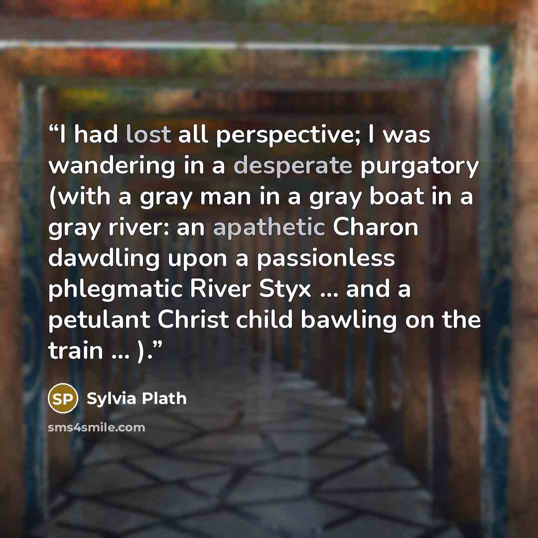 “I had lost all perspective; I was wandering in a desperate purgatory (with a gray man in a gray boat in a gray river: an apathetic Charon dawdling upon a passionless phlegmatic River Styx ... and a petulant Christ child bawling on the train ... ).” quote by Sylvia Plath