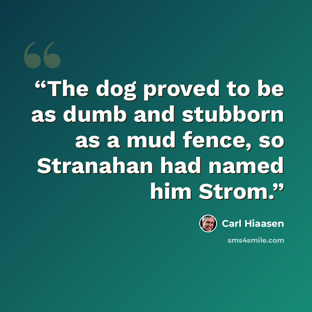 “The dog proved to be as dumb and stubborn as a mud fence, so Stranahan had named him Strom.” quote by Carl Hiaasen