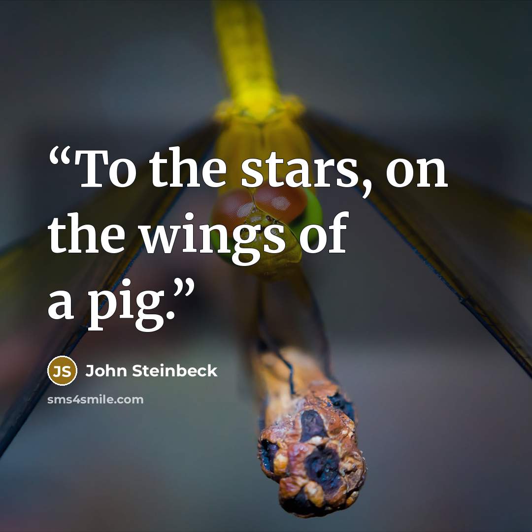 “To the stars, on the wings of a pig.” quote by John Steinbeck