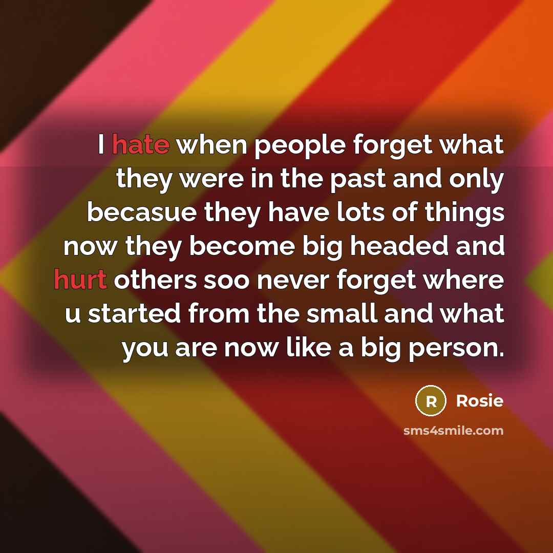 “I hate when people forget what they were in the past and only becasue they have lots of things now they become big headed and hurt others soo never forget where u started from the small and what you are now like a big person.” quote by Rosie