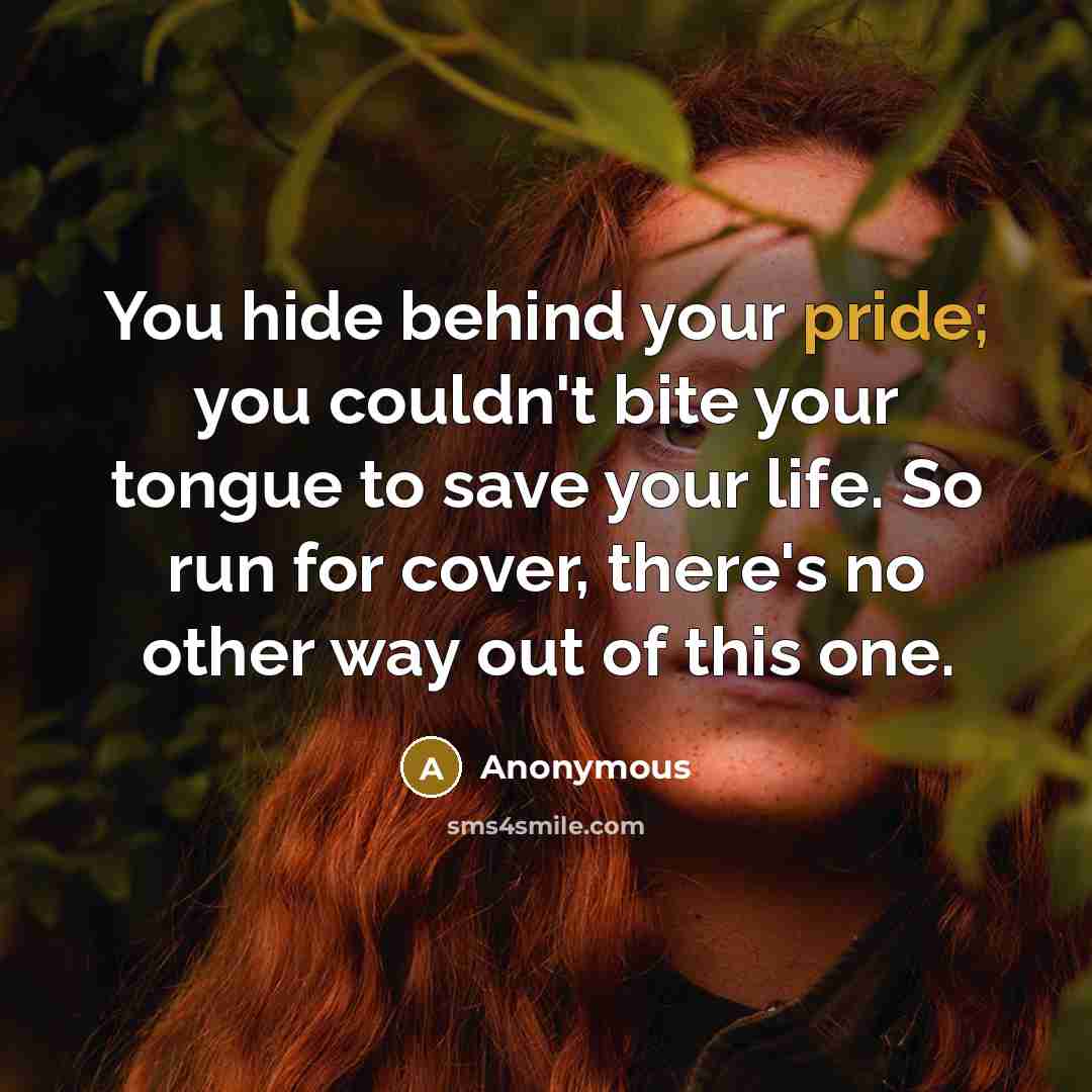 “You hide behind your pride; you couldn't bite your tongue to save your life. So run for cover, there's no other way out of this one.” quote by Anonymous
