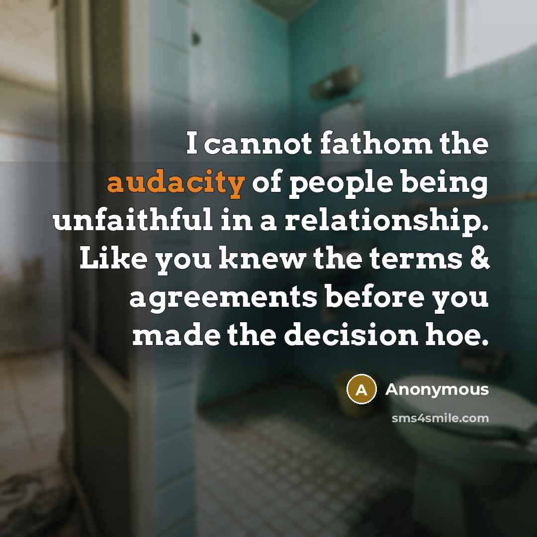 “I cannot fathom the audacity of people being unfaithful in a relationship. Like you knew the terms & agreements before you made the decision hoe.” quote by Anonymous