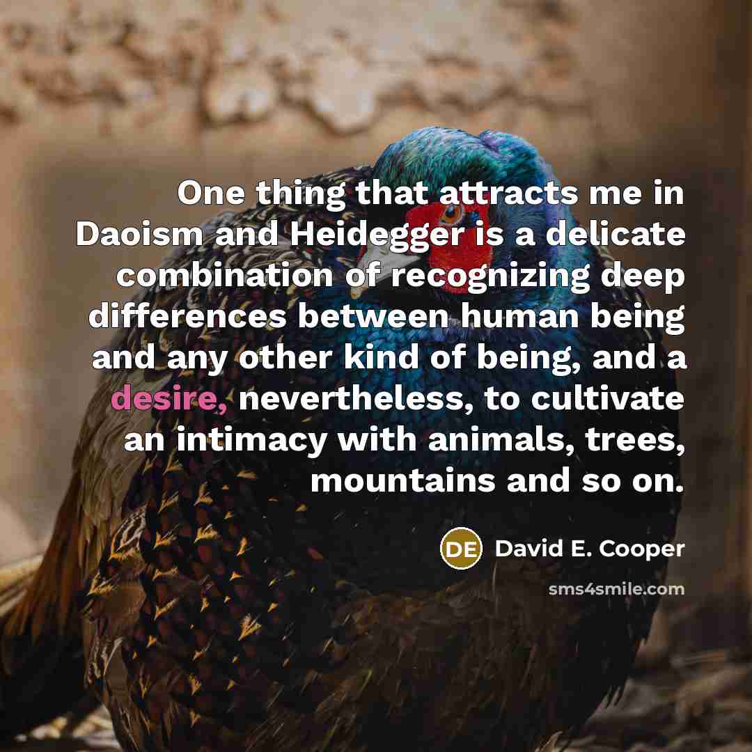 “One thing that attracts me in Daoism and Heidegger is a delicate combination of recognizing deep differences between human being and any other kind of being, and a desire, nevertheless, to cultivate an intimacy with animals, trees, mountains and so on.” quote by David E. Cooper
