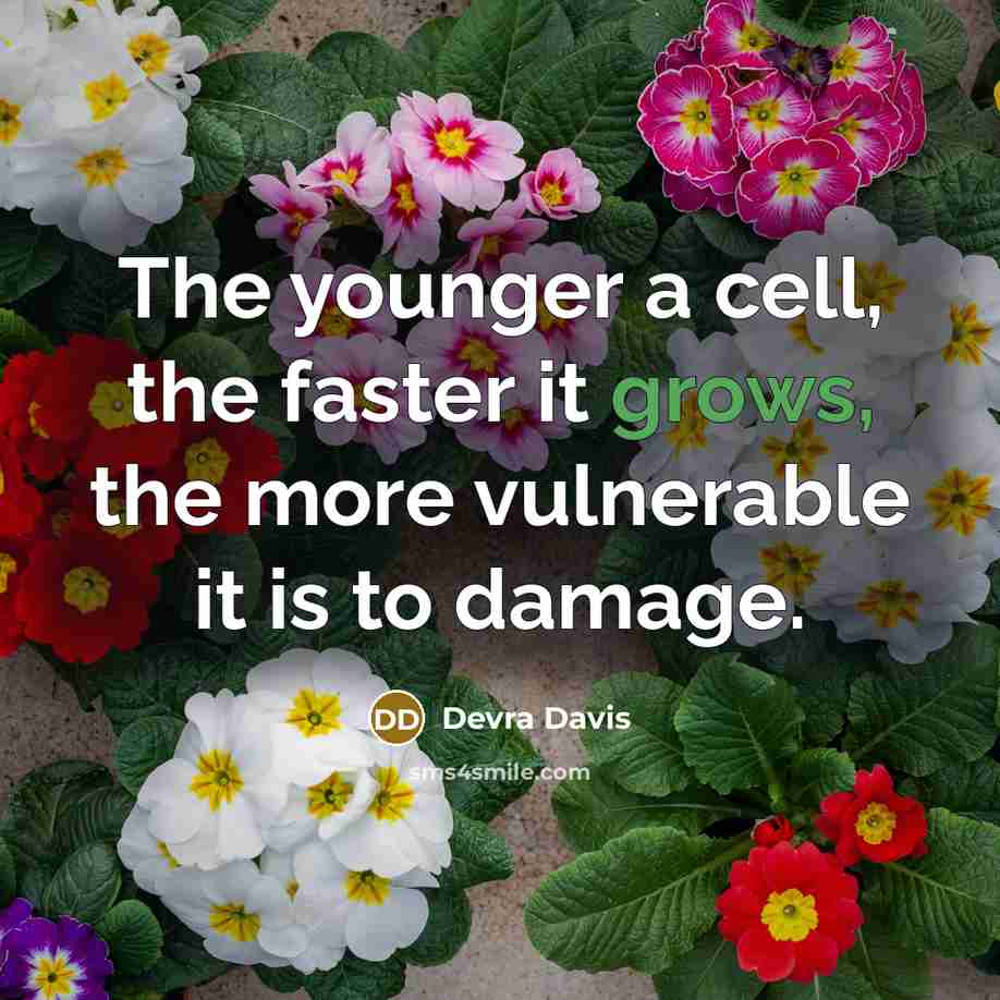 “The younger a cell, the faster it grows, the more vulnerable it is to damage.” quote by Devra Davis