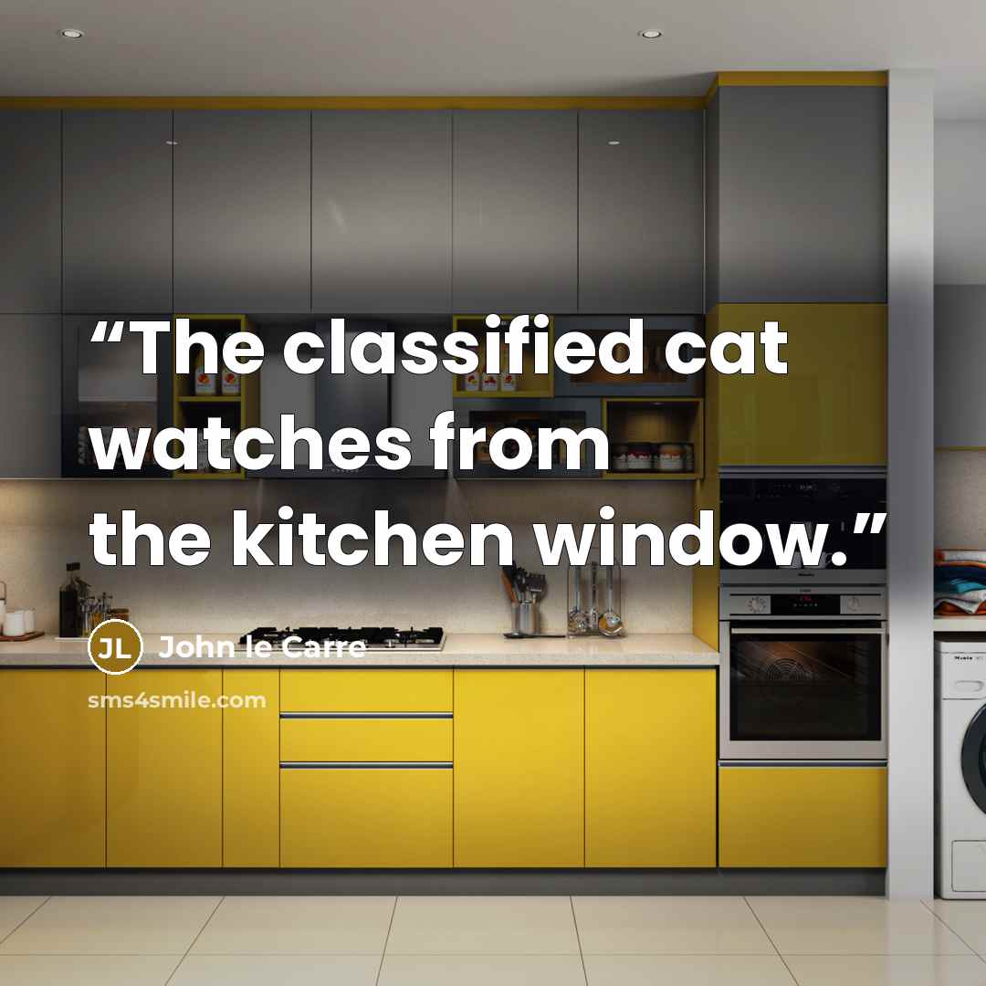 “The classified cat watches from the kitchen window.” quote by John le Carré