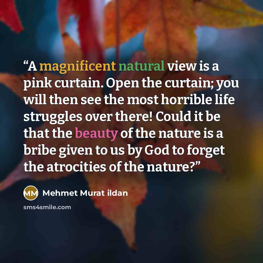 “A magnificent natural view is a pink curtain. Open the curtain; you will then see the most horrible life struggles over there! Could it be that the beauty of the nature is a bribe given to us by God to forget the atrocities of the nature?” quote by Mehmet Murat ildan