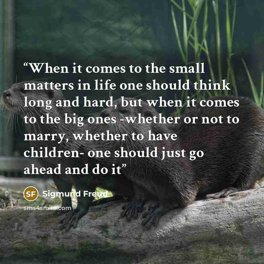“When it comes to the small matters in life one should think long and hard, but when it comes to the big ones -whether or not to marry, whether to have children- one should just go ahead and do it” quote by Sigmund Freud