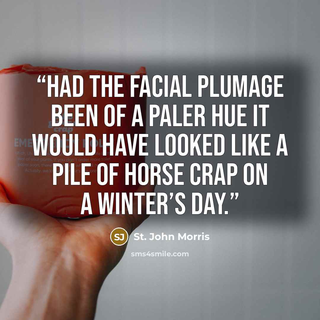 “Had the facial plumage been of a paler hue it would have looked like a pile of horse crap on a winter’s day.” quote by St. John Morris