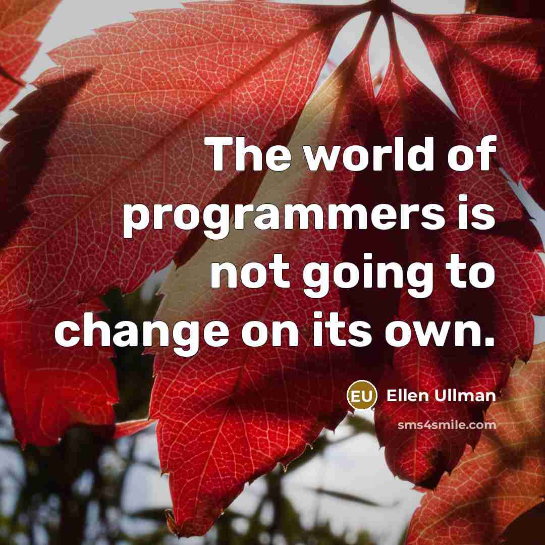 “The world of programmers is not going to change on its own.” quote by Ellen Ullman