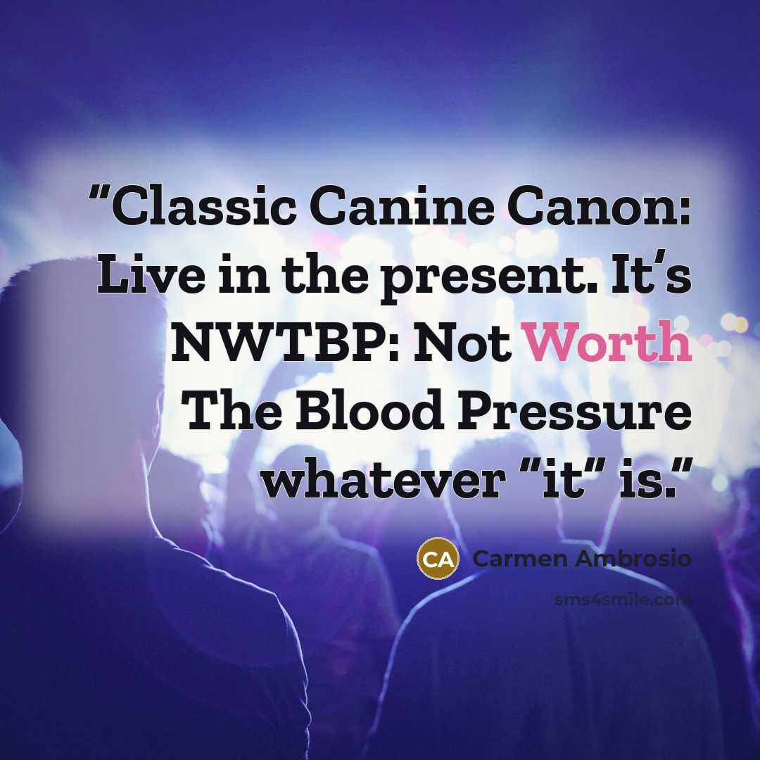 “Classic Canine Canon: Live in the present. It’s NWTBP: Not Worth The Blood Pressure whatever “it” is.” quote by Carmen Ambrosio