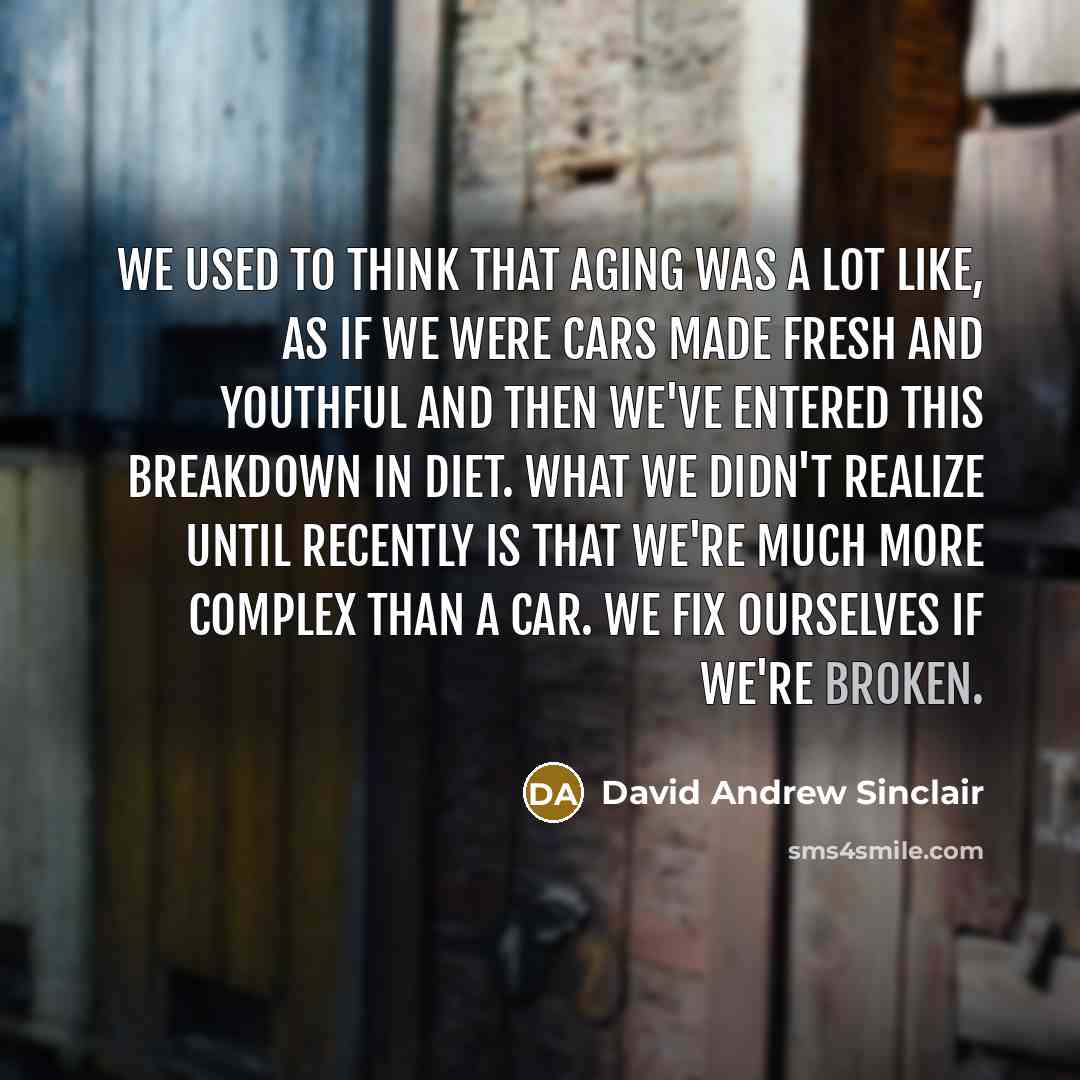 “We used to think that aging was a lot like, as if we were cars made fresh and youthful and then we've entered this breakdown in diet. What we didn't realize until recently is that we're much more complex than a car. We fix ourselves if we're broken.” quote by David Andrew Sinclair