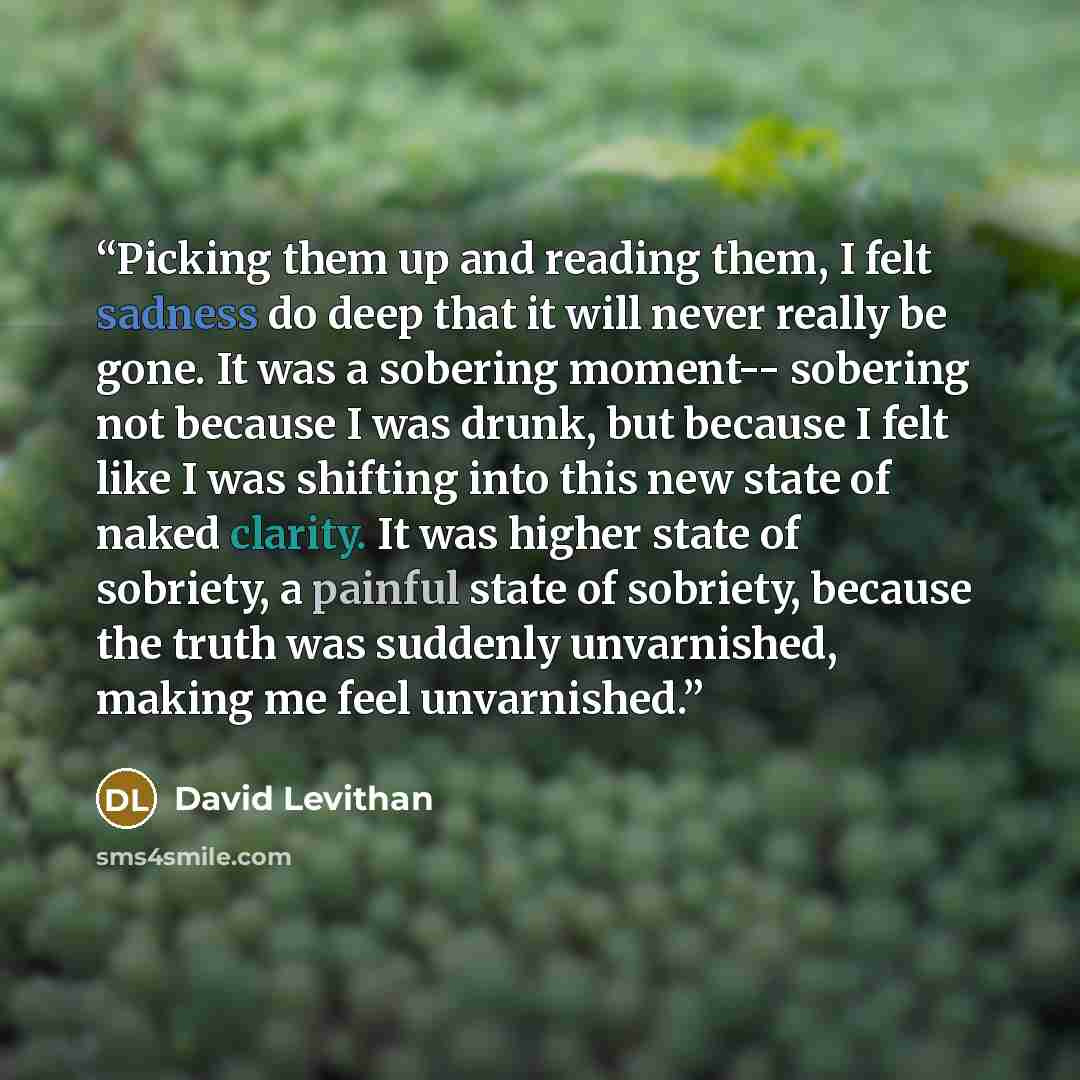 “Picking them up and reading them, I felt sadness do deep that it will never really be gone. It was a sobering moment-- sobering not because I was drunk, but because I felt like I was shifting into this new state of naked clarity. It was higher state of sobriety, a painful state of sobriety…” quote by David Levithan