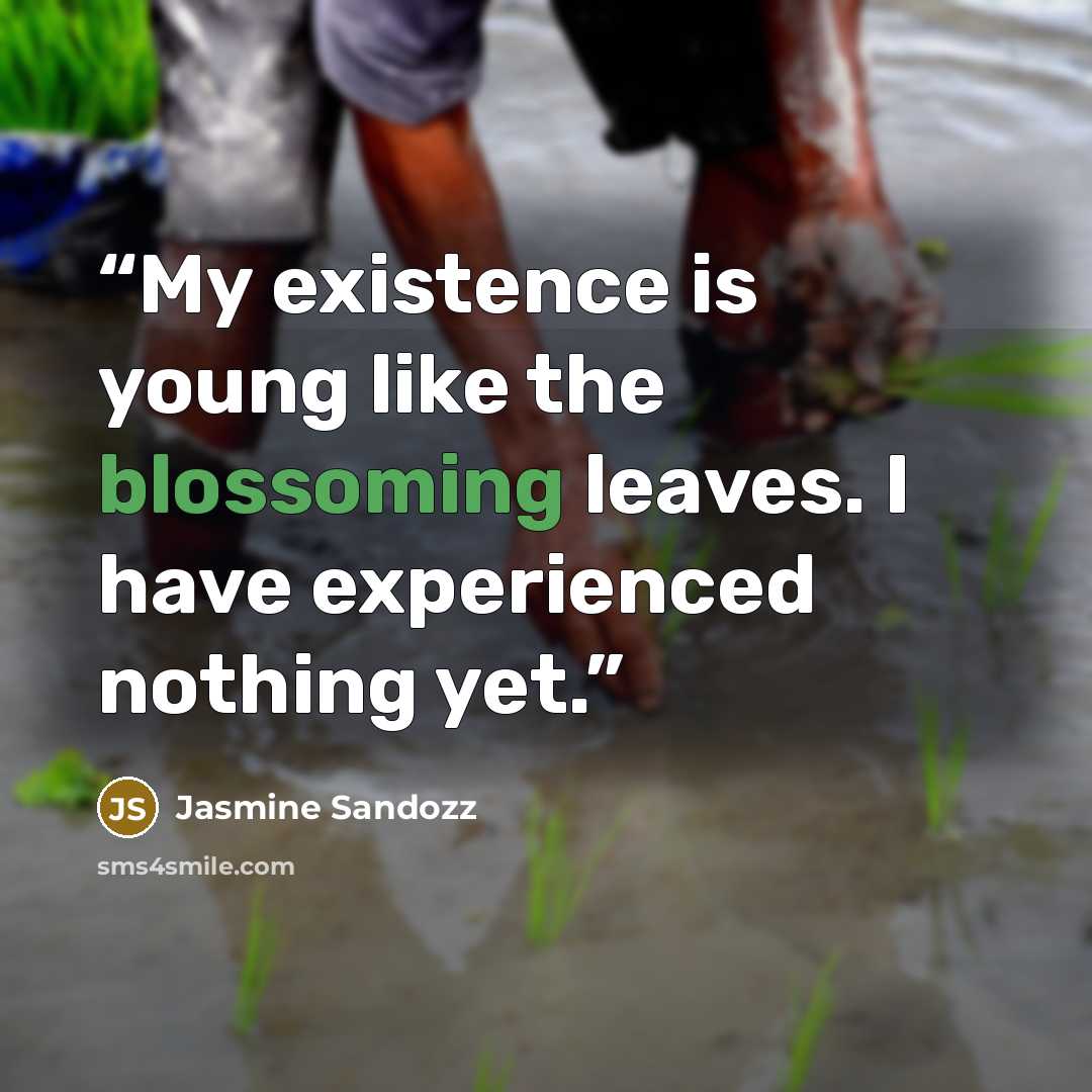 “My existence is young like the blossoming leaves. I have experienced nothing yet.” quote by Jasmine Sandozz